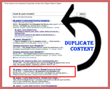 Duplicate Content Example